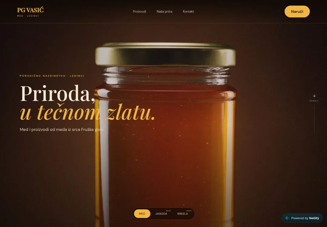 PG Vasić demo web
